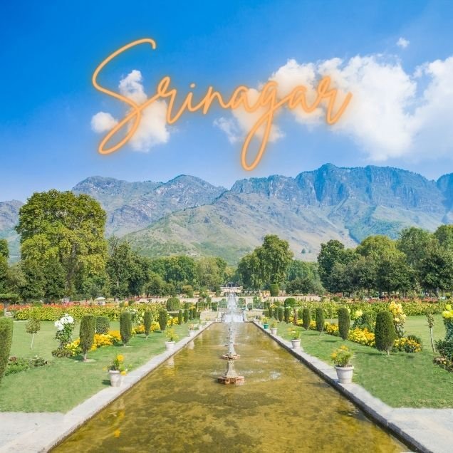 Copy of Add a heading