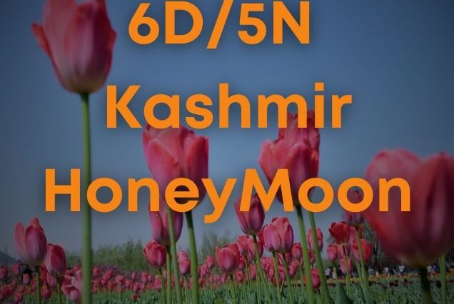 Kashmir HoneyMoon - 5N/6D