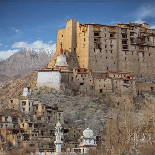 Copy of Add a heading (10)