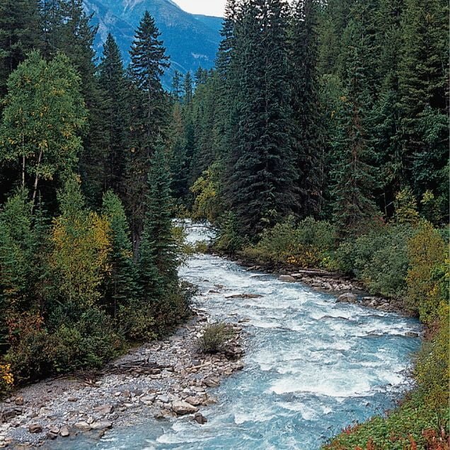 Copy of Add a heading (11)