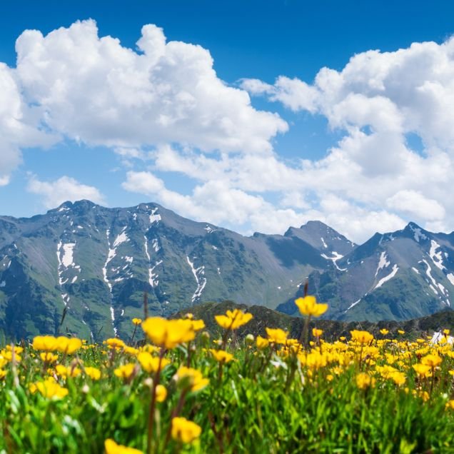 Copy of Add a heading (12)