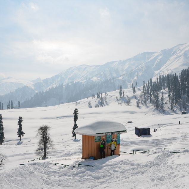 Copy of Add a heading (2)