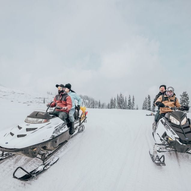 Copy of Add a heading (3)