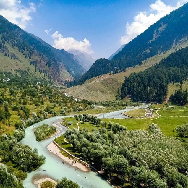 Copy of Add a heading (7)